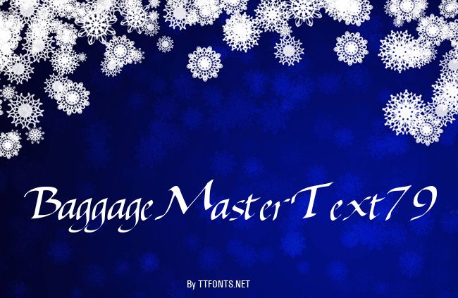 BaggageMasterText79 example
