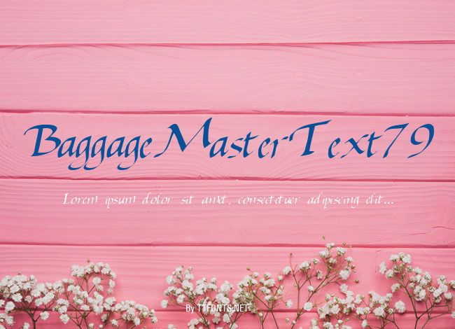 BaggageMasterText79 example