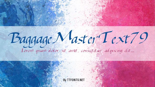 BaggageMasterText79 example
