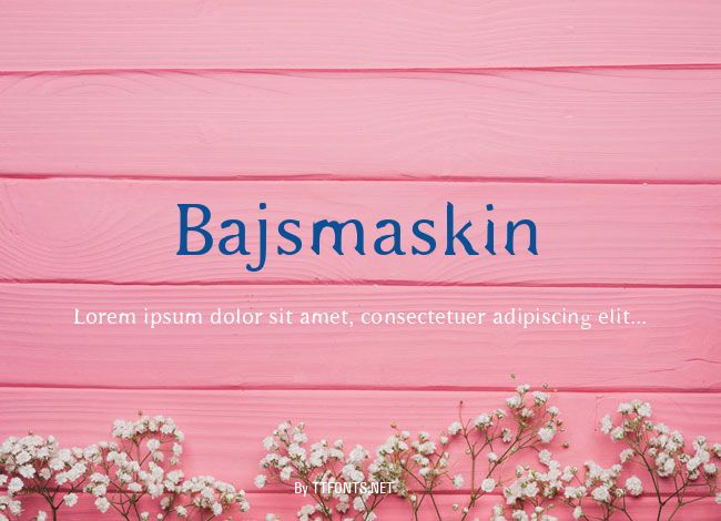 Bajsmaskin example