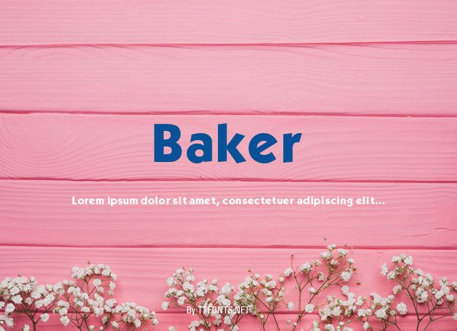 Baker example