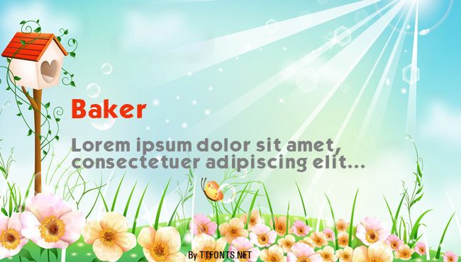 Baker example