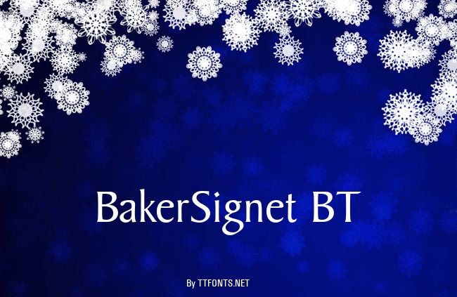 BakerSignet BT example