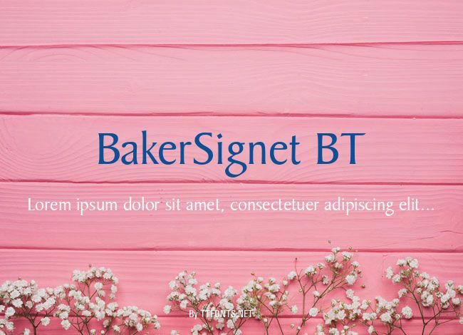 BakerSignet BT example