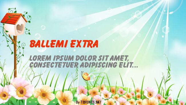 Ballemi Extra example