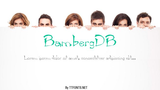 BambergDB example
