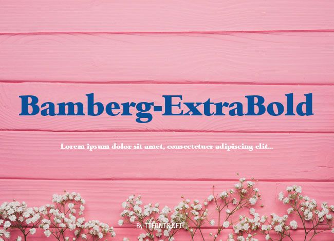 Bamberg-ExtraBold example