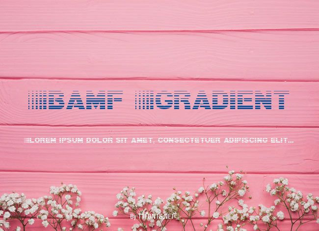 Bamf Gradient example
