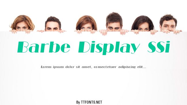Barbe Display SSi example