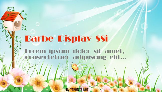 Barbe Display SSi example