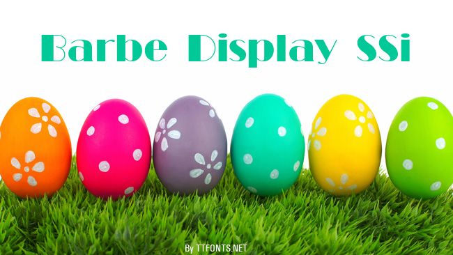 Barbe Display SSi example