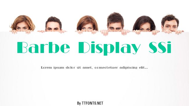 Barbe Display SSi example