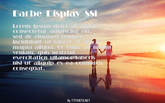 Barbe Display SSi example