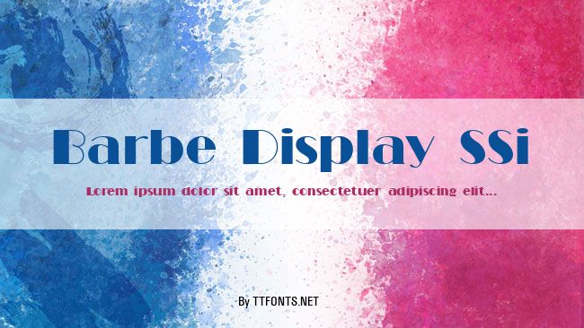 Barbe Display SSi example
