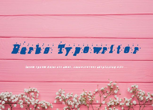 Barbs Typewriter example