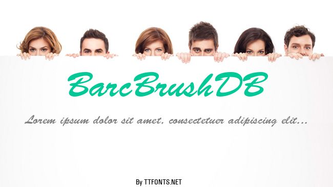 BarcBrushDB example
