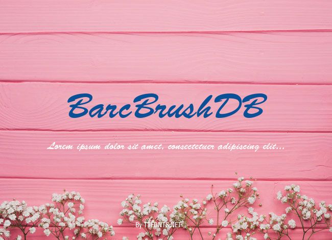 BarcBrushDB example