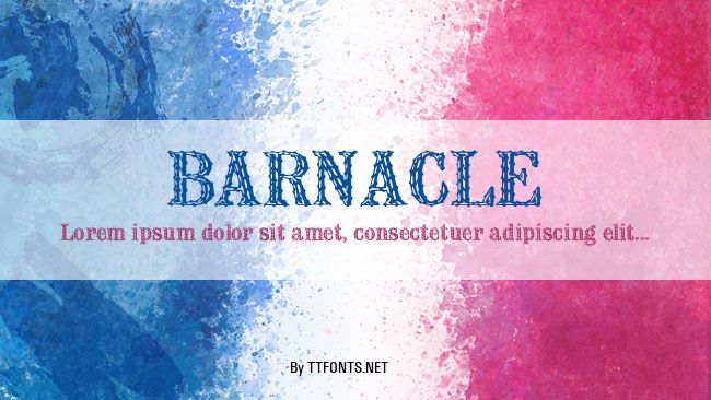 BARNACLE example