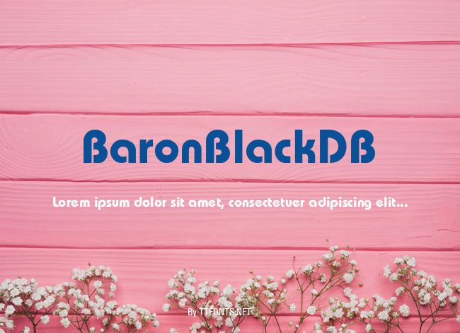 BaronBlackDB example