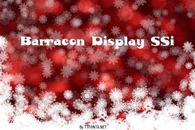 Barracon Display SSi example