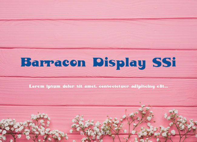 Barracon Display SSi example