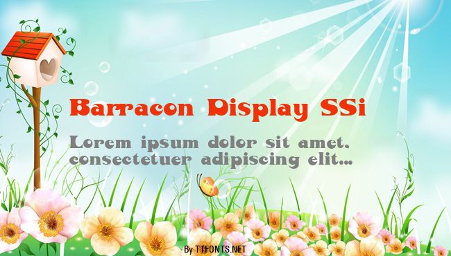 Barracon Display SSi example