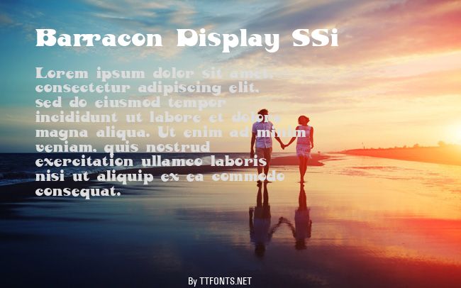 Barracon Display SSi example