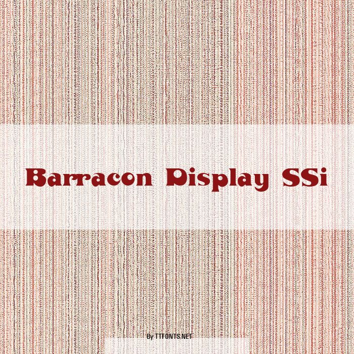 Barracon Display SSi example