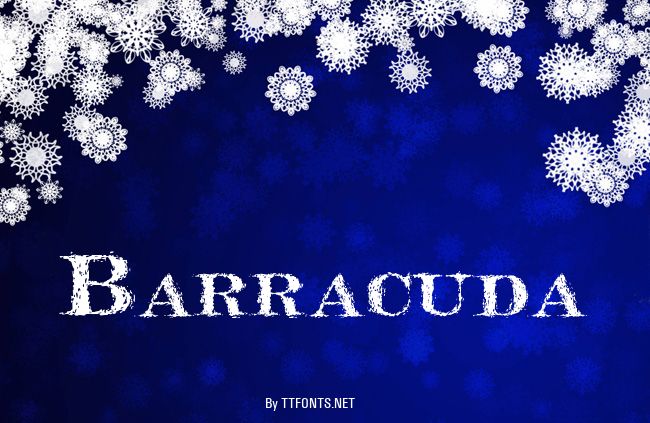 Barracuda example