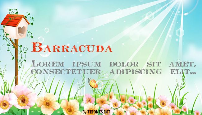 Barracuda example