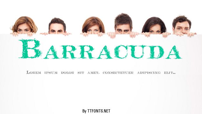 Barracuda example
