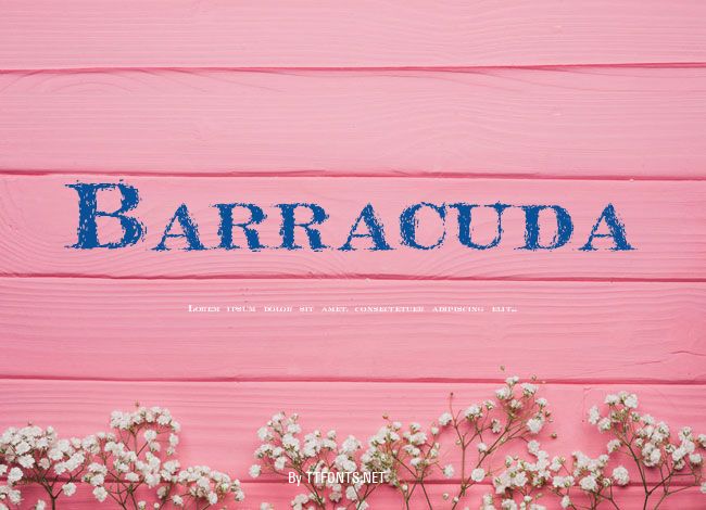 Barracuda example
