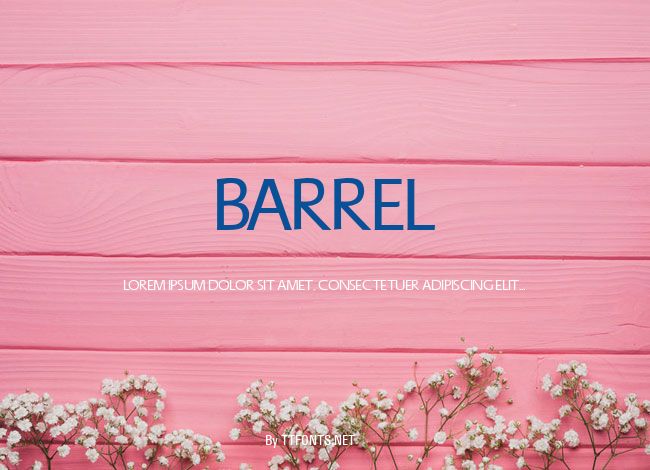 Barrel example