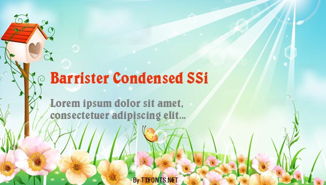 Barrister Condensed SSi example