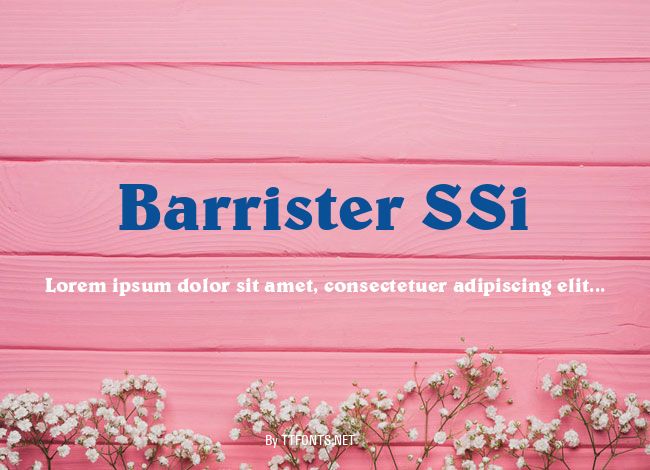Barrister SSi example
