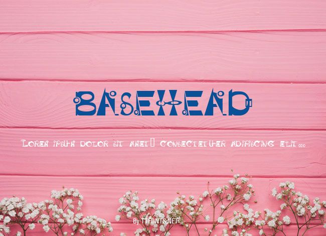BASEHEAD example