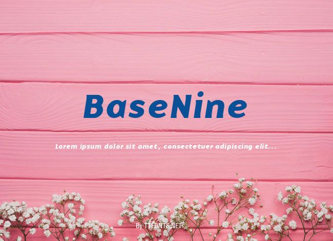 BaseNine example