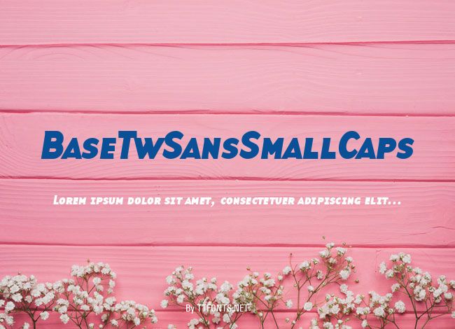 BaseTwSansSmallCaps example