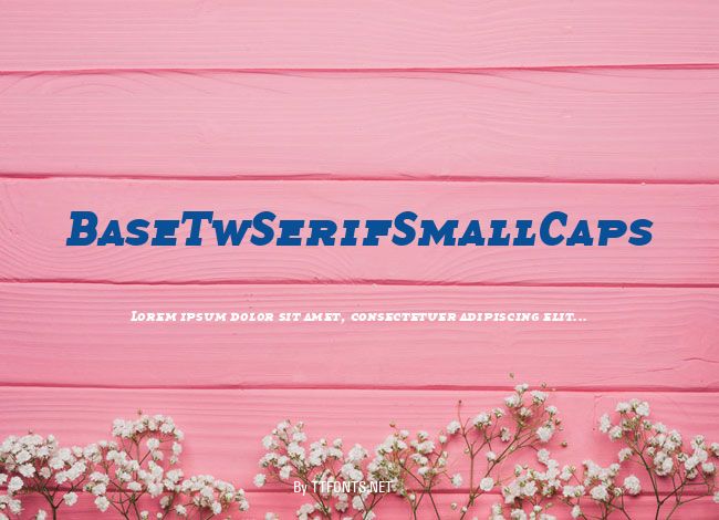 BaseTwSerifSmallCaps example