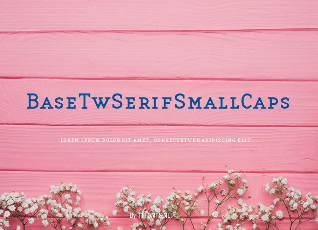BaseTwSerifSmallCaps example