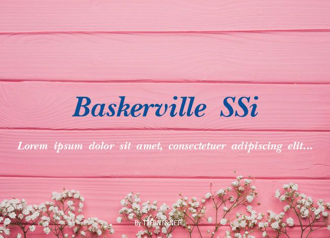 Baskerville SSi example