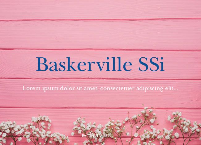 Baskerville SSi example