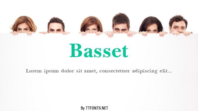 Basset example