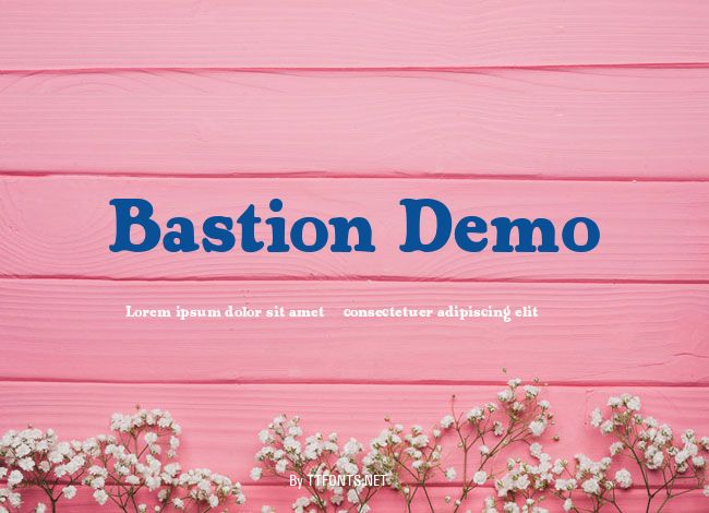 Bastion Demo example