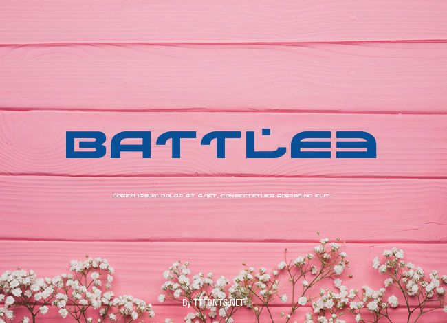 BATTLE3 example