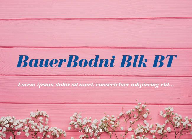BauerBodni Blk BT example