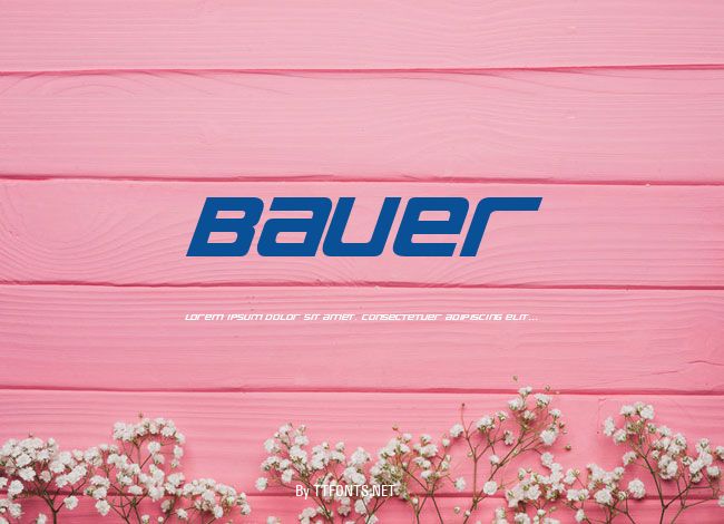 Bauer example