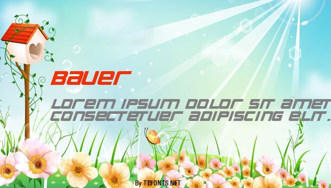 Bauer example