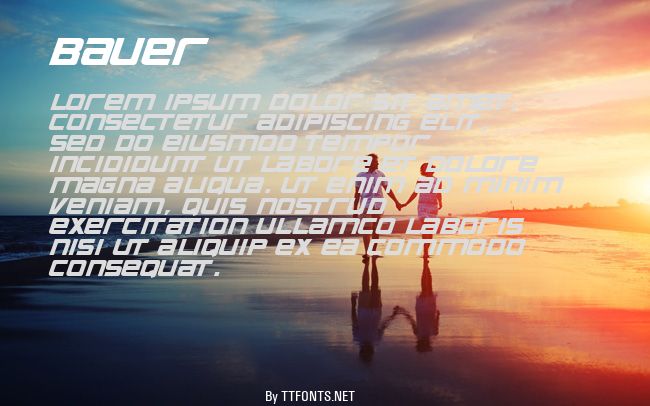 Bauer example