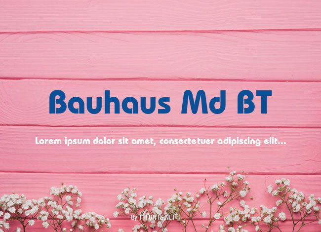 Bauhaus Md BT example